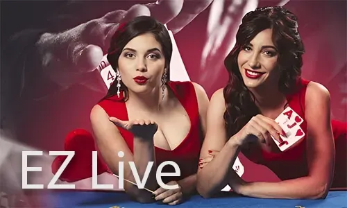 Immersive Live Casino Experience